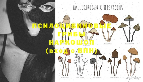 альфа пвп Надым