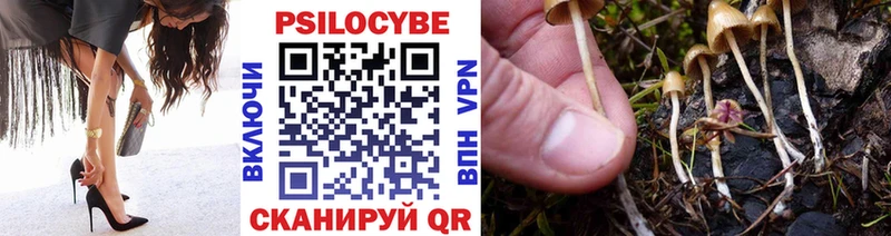 Галлюциногенные грибы прущие грибы  Купить закладки  Александров 