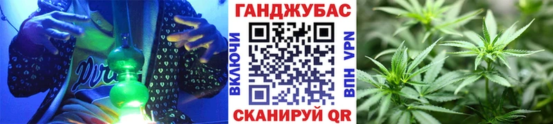 Купить  Александров  МАРИХУАНА ГИДРОПОН 